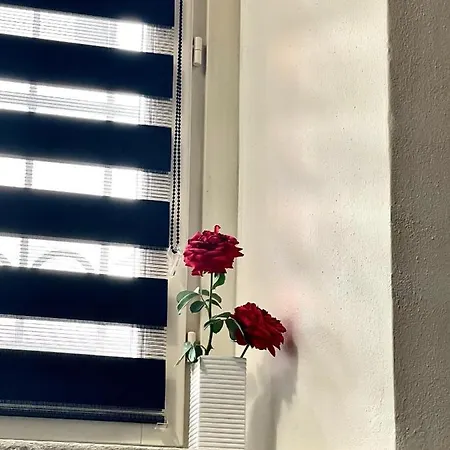 Ca D La Trifola Free Parking * Alba