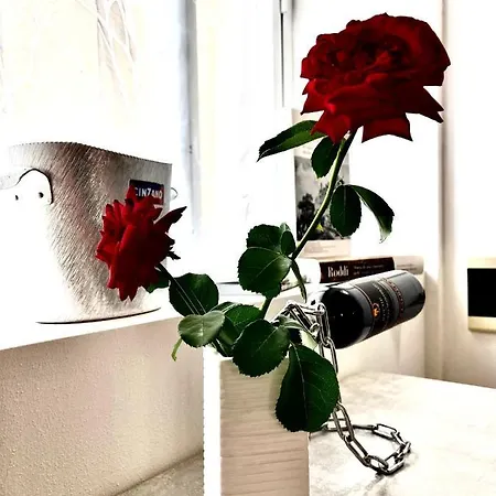 公寓 Ca D La Trifola Free Parking *