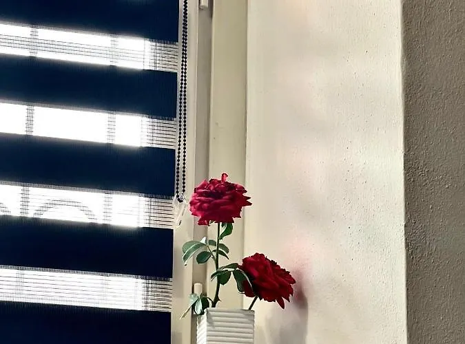 Ca D La Trifola Free Parking * 알바